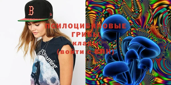 МДПВ Белокуриха