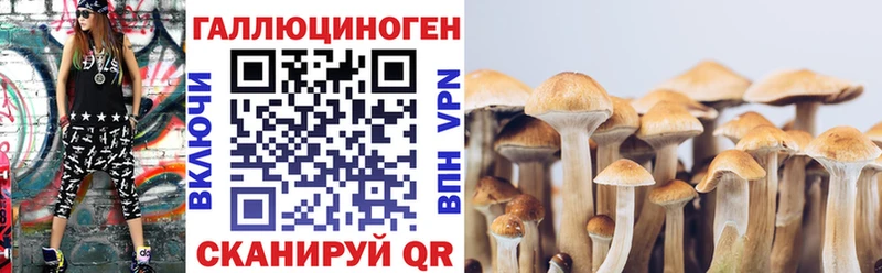 Псилоцибиновые грибы Psilocybe  Оха 